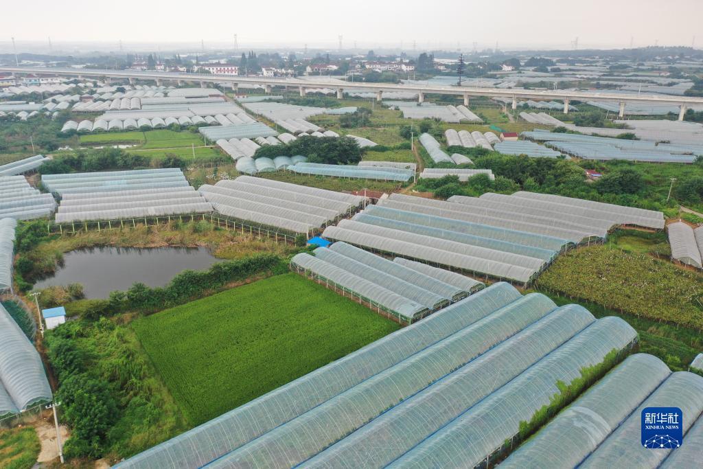 娱乐平台登录